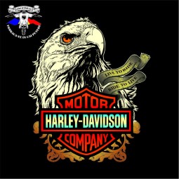 detaliu tricou harley davidson the eagle 2