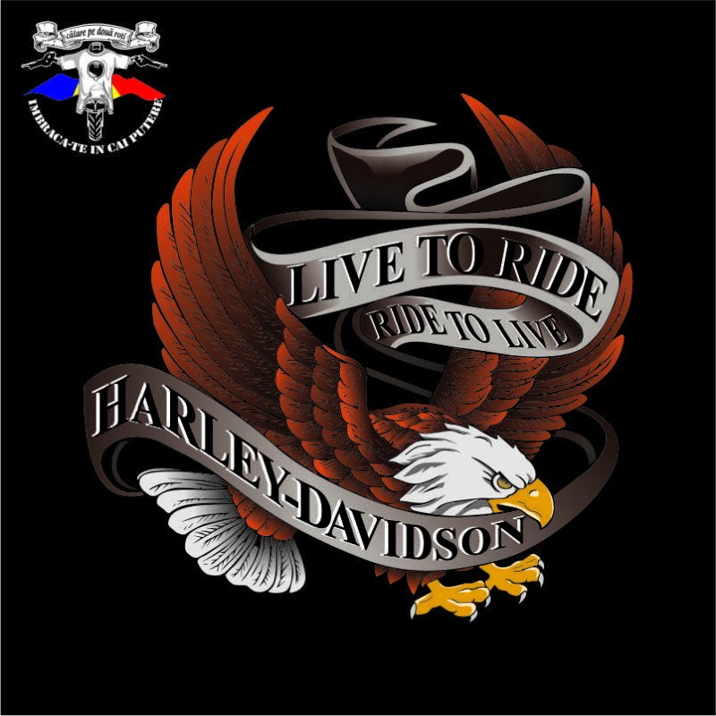detaliu tricou harley davidson the eagle 5