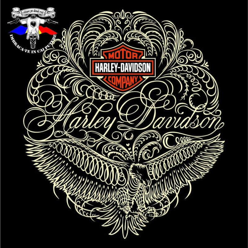 detaliu tricou harley davidson the eagle 6