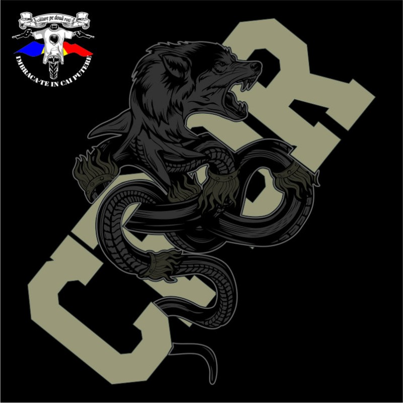 detaliu tricou daci si cpdr