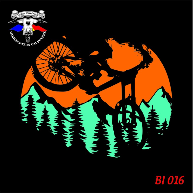 detaliu biciclete