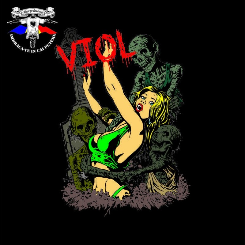 detaliu tricou viol